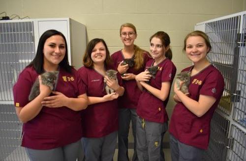 5 women in scrubs holding kittens at the Veterinary Sciences Center 